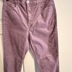 LOFT Lavender Straight Leg Pants